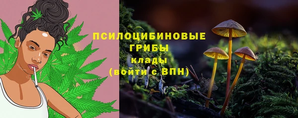 кокс Алзамай